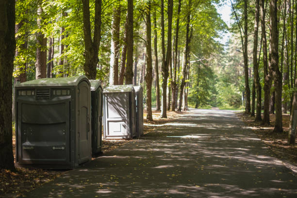 Best Portable toilet rental for construction  in Romeovle, IL